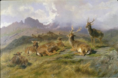 Landscape with Deer