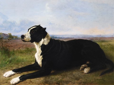 Portrait of a mastiff-labrador in a landscape