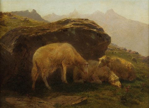 Sheep on a Hillside