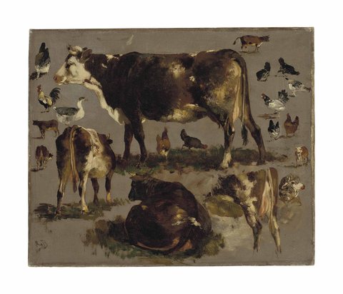Studies of Cows, Hens, Roosters, a Goose and a Sheep