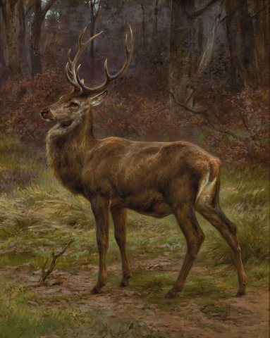 Stag in an Autumn Landscape