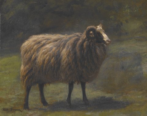 Ram