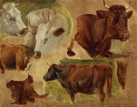 Studies of Standing Bulls