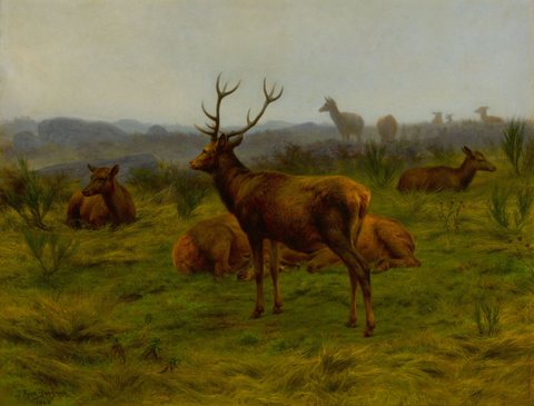 The Monarch of the herd