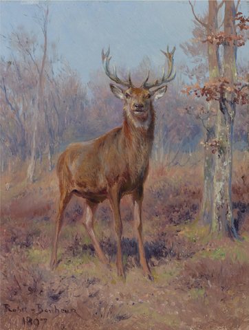 Young Stag in a Wooded Landscape