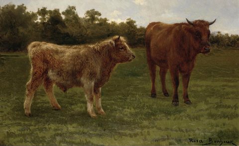 Two cows grazing