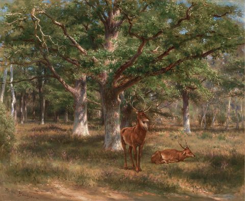 Two Deer in a Forest Glade