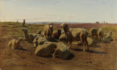 Watching His Flock