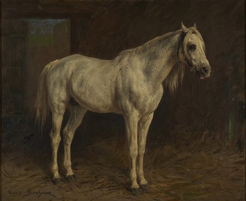 White Horse