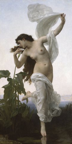 Dawn