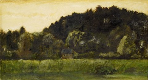 Landscape - Study