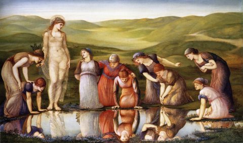 The Mirror of Venus