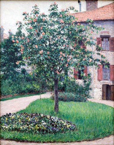 Blossoming Tree