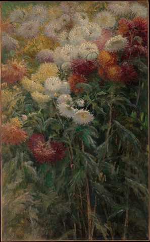 Chrysanthemums in the Garden at Petit Gennevilliers