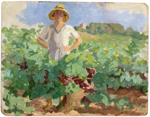 Young Woman in the Vineyards