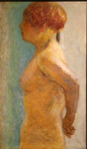 Torso of woman, profile