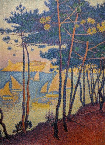 Saint-Tropez, pines and sails