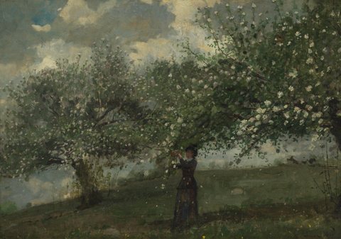 Girl Picking Apple Blossoms