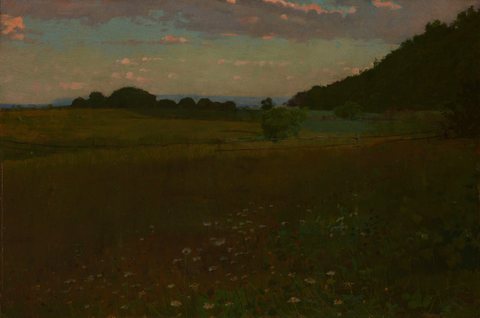 Evening
