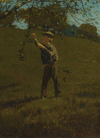 Green Apples