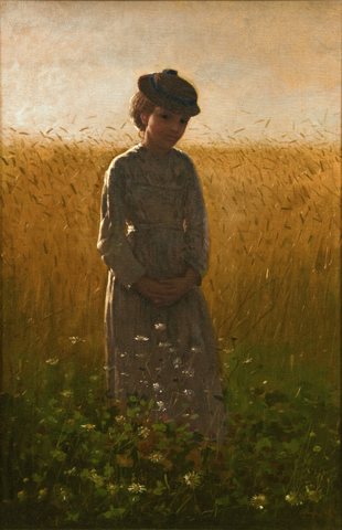 In the Wheatfield