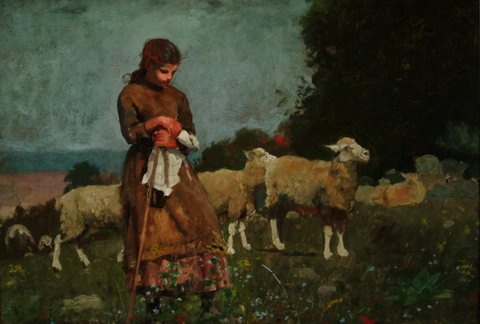 Shepherdess and Sheep