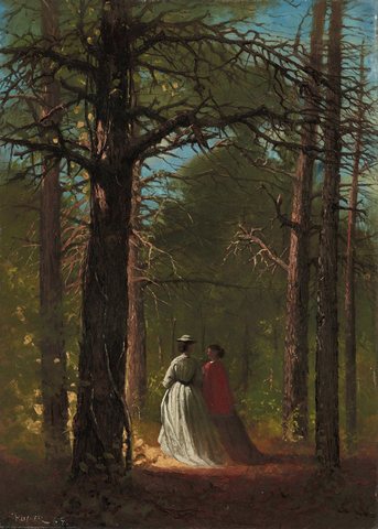 Waverly Oaks