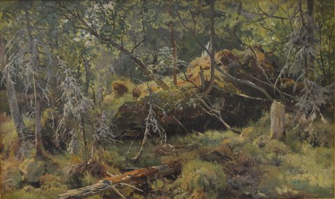 Branches. A Study