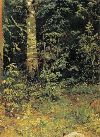 Birch and rowan