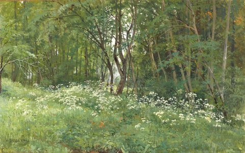 Flowers on the Edge of the Forest