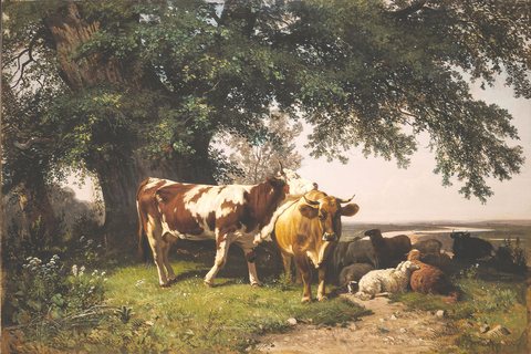 Herd under the Trees