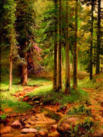 Forest landscape