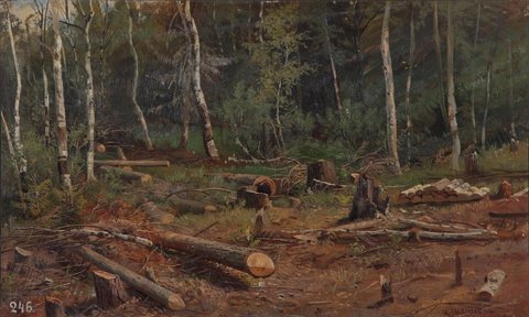 Fresh logging