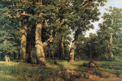 Oak Grove