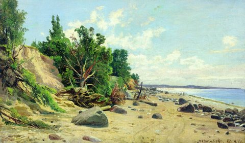 Sea Shore