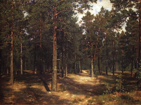 Path among the pines