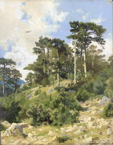 Wooded landscape