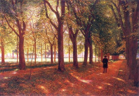 Man in an Avenue