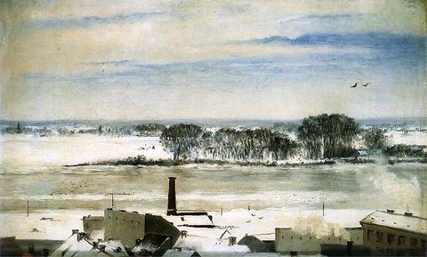 View from the Conservatory Window, Saska Kępa in Winter