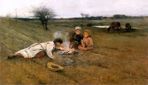 In the Field