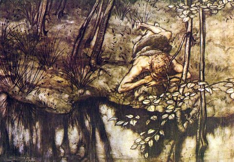 Illustration for The Ring of the Nibelung