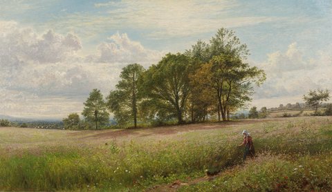 Summer Time through the Hayfield, Worcestershire