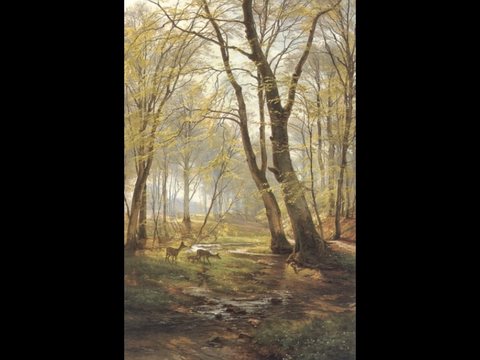 A Woodland Scene with Deer