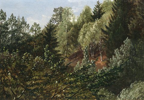 A Wooded Rise above the River Elbe in Springtime