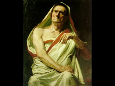 The Senator