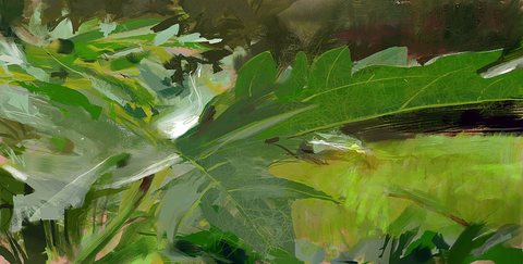 plants