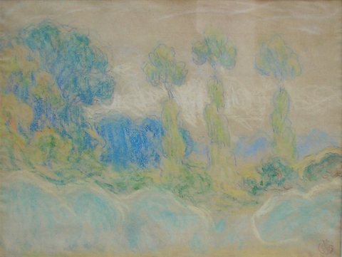 Poplars in Brittany