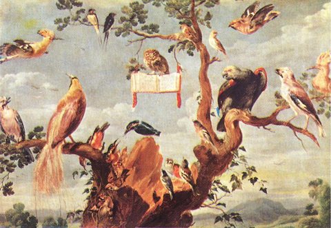 Concert of Birds