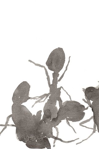 Ohne Titel Nr. 3