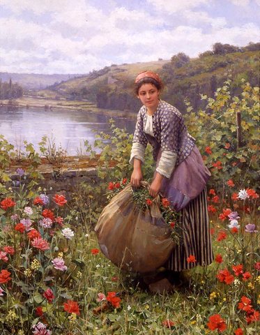 The grass cutter
